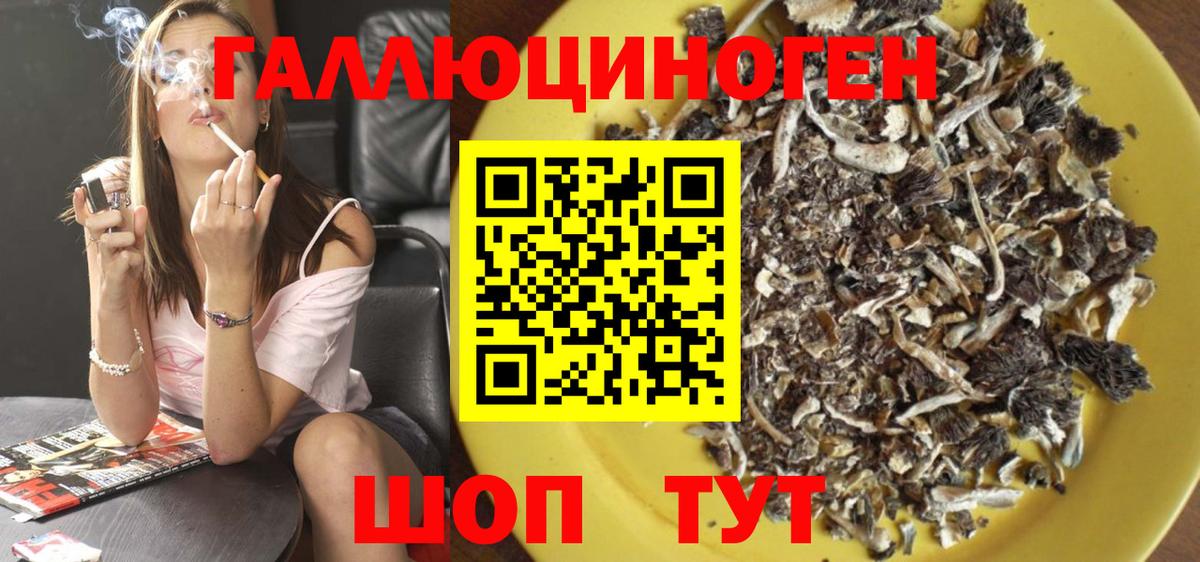 Людиново  Галлюциногенные грибы MAGIC MUSHROOMS  купить закладку  Вход с VPN 